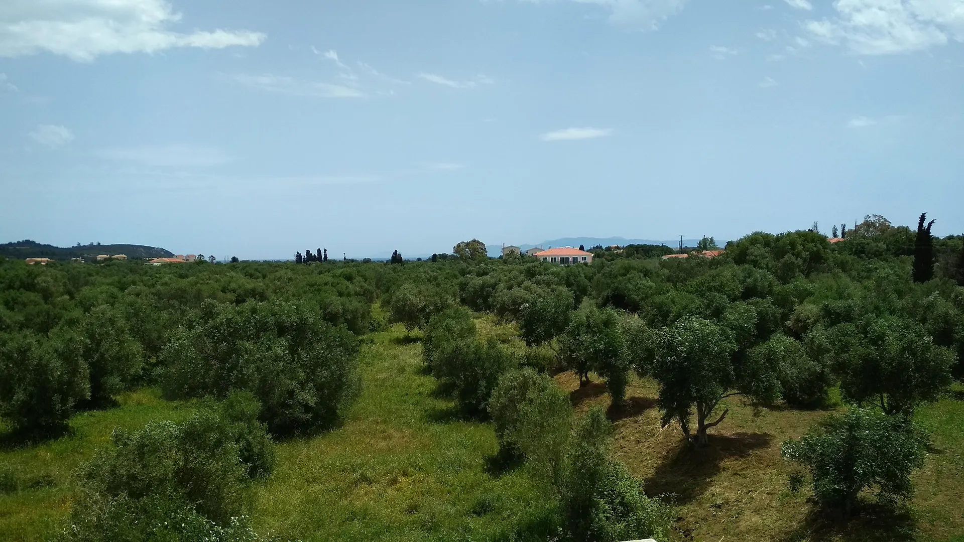 Casa De Rosa Apartments & Studios Svoronata
